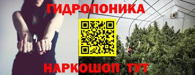 ПСИЛОЦИБИНОВЫЕ ГРИБЫ Славгород