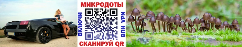 Псилоцибиновые грибы Magic Shrooms  blacksprut как зайти  Старый Оскол 