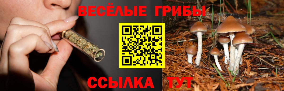 Старый Оскол  Псилоцибиновые грибы Magic Shrooms  цены наркотик  Галлюциногенные грибы мухоморы  Вход с VPN 